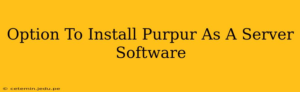 Option To Install Purpur As A Server Software