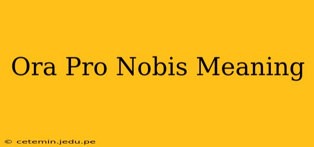 Ora Pro Nobis Meaning