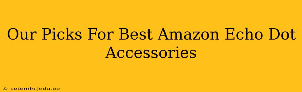 Our Picks For Best Amazon Echo Dot Accessories