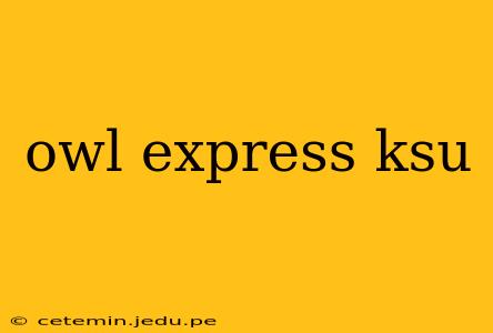 owl express ksu