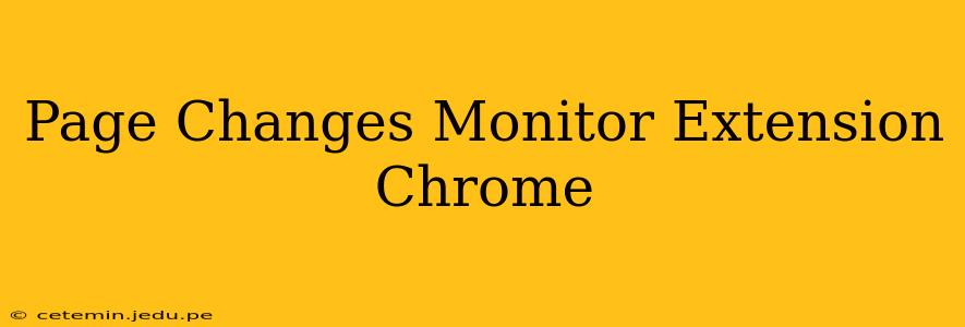 Page Changes Monitor Extension Chrome