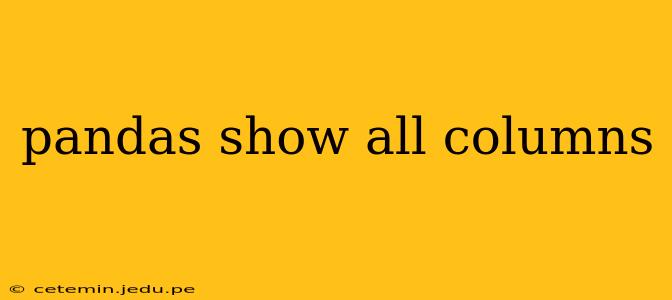 pandas show all columns