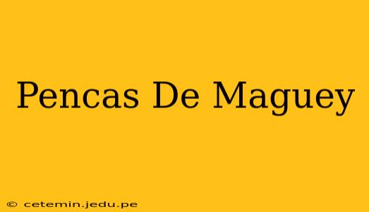 Pencas De Maguey