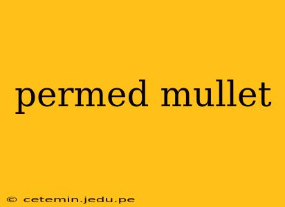 permed mullet