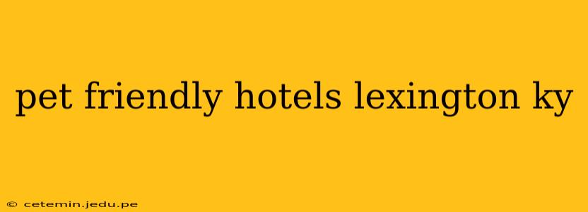 pet friendly hotels lexington ky