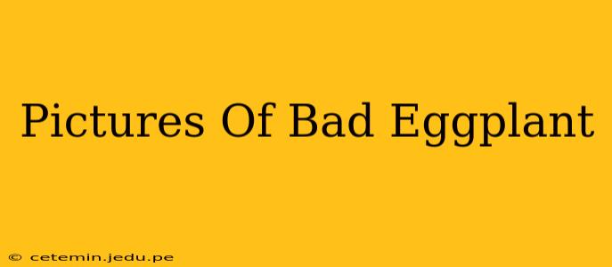 Pictures Of Bad Eggplant