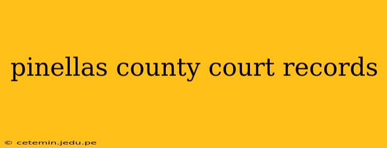 pinellas county court records