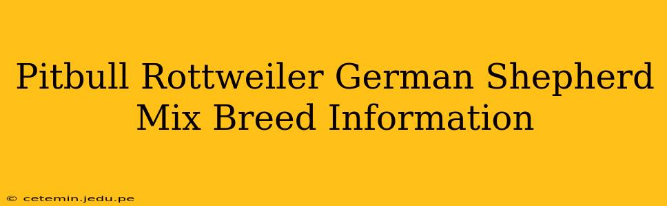 Pitbull Rottweiler German Shepherd Mix Breed Information