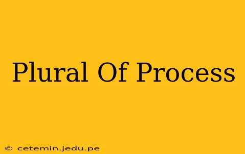 Plural Of Process