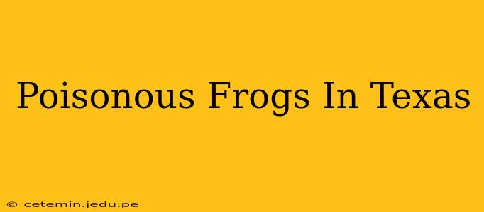 Poisonous Frogs In Texas