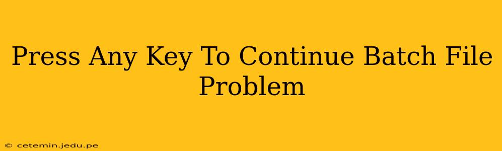 Press Any Key To Continue Batch File Problem