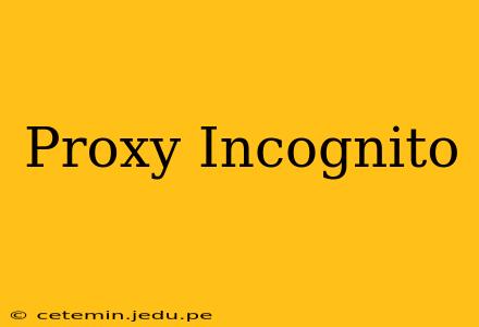 Proxy Incognito