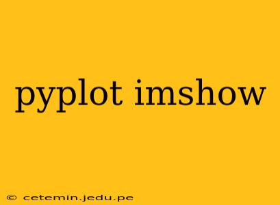 pyplot imshow