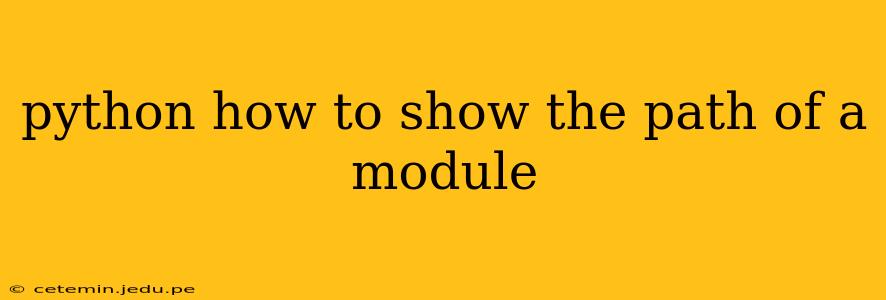 python how to show the path of a module