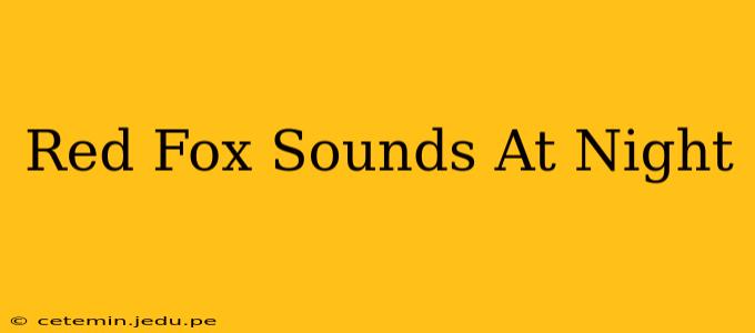 Red Fox Sounds At Night