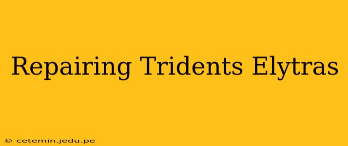 Repairing Tridents Elytras