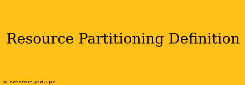 Resource Partitioning Definition