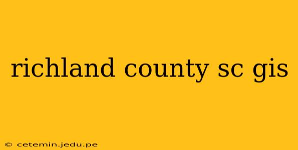 richland county sc gis