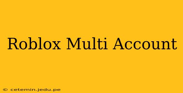 Roblox Multi Account