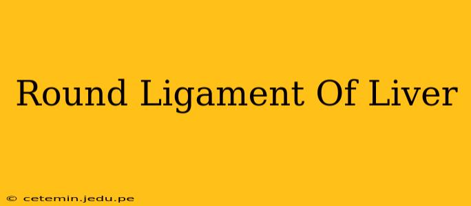 Round Ligament Of Liver