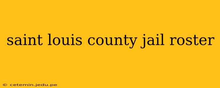 saint louis county jail roster