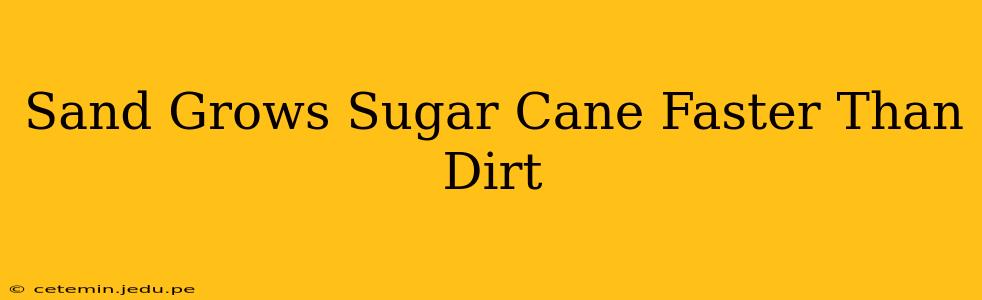 Sand Grows Sugar Cane Faster Than Dirt