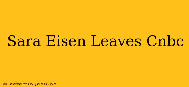 Sara Eisen Leaves Cnbc