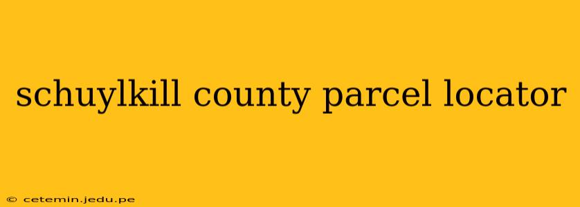 schuylkill county parcel locator
