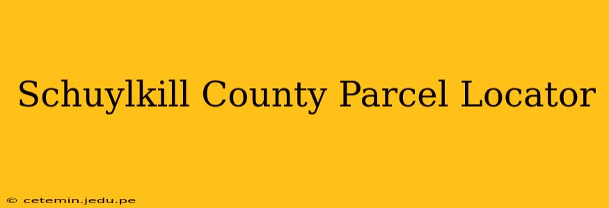 Schuylkill County Parcel Locator