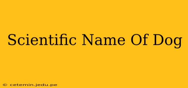 Scientific Name Of Dog