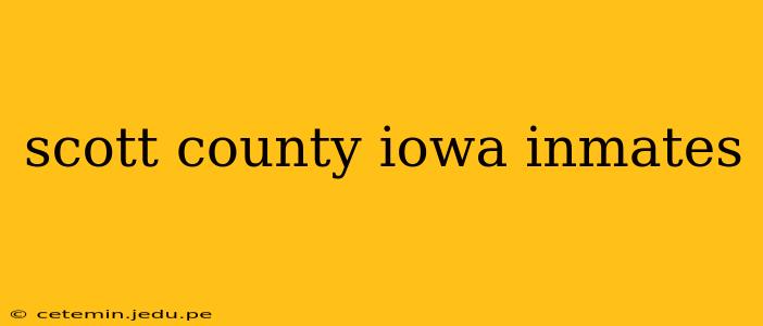 scott county iowa inmates