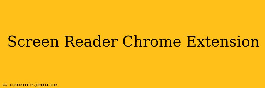 Screen Reader Chrome Extension