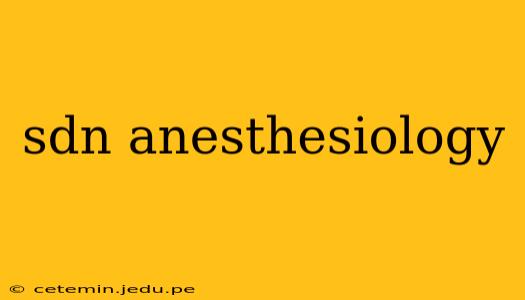 sdn anesthesiology