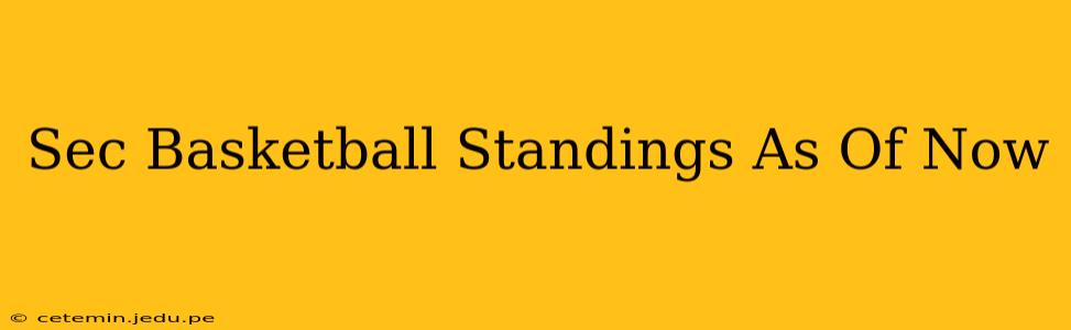 Sec Basketball Standings As Of Now