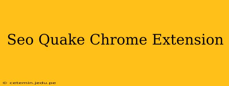 Seo Quake Chrome Extension