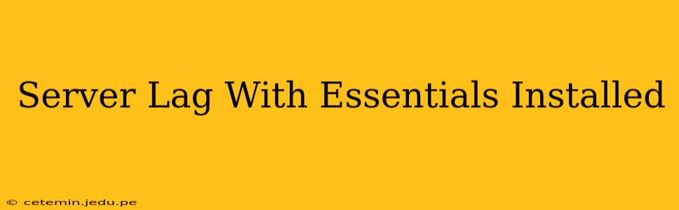 Server Lag With Essentials Installed