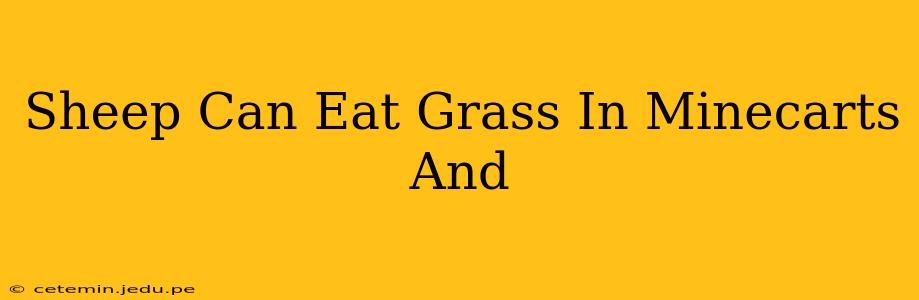 Sheep Can Eat Grass In Minecarts And