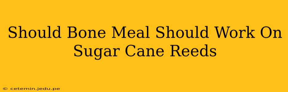 Should Bone Meal Should Work On Sugar Cane Reeds