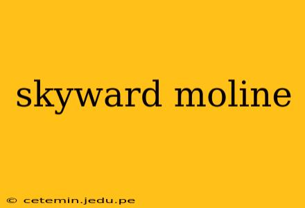skyward moline