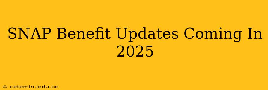 SNAP Benefit Updates Coming In 2025