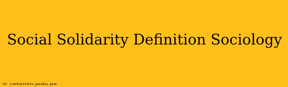 Social Solidarity Definition Sociology