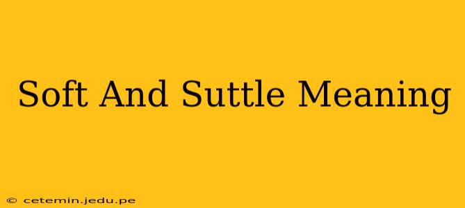 Soft And Suttle Meaning