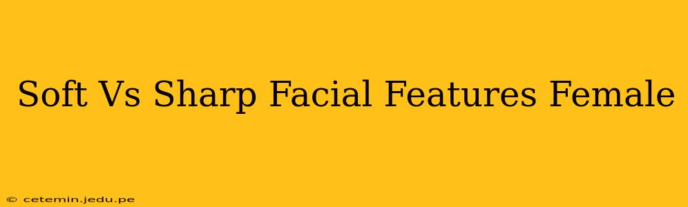 Soft Vs Sharp Facial Features Female