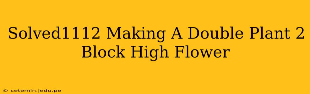 Solved1112 Making A Double Plant 2 Block High Flower