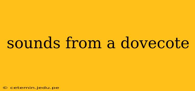 sounds from a dovecote