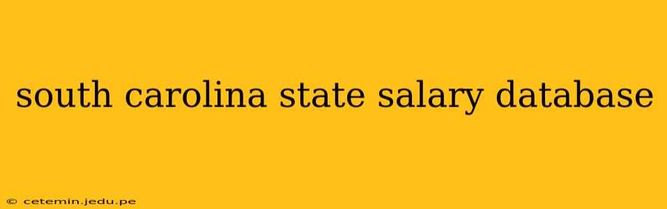 south carolina state salary database