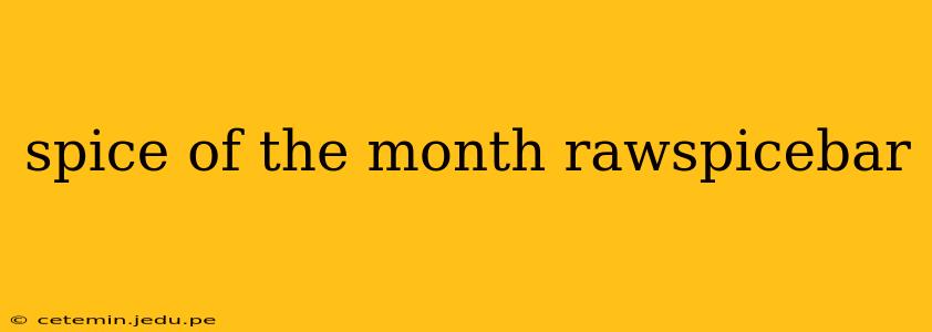 spice of the month rawspicebar