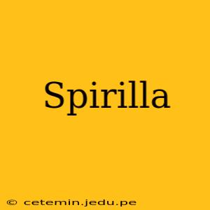 Spirilla