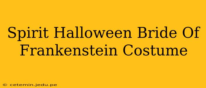 Spirit Halloween Bride Of Frankenstein Costume