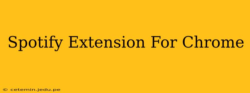 Spotify Extension For Chrome